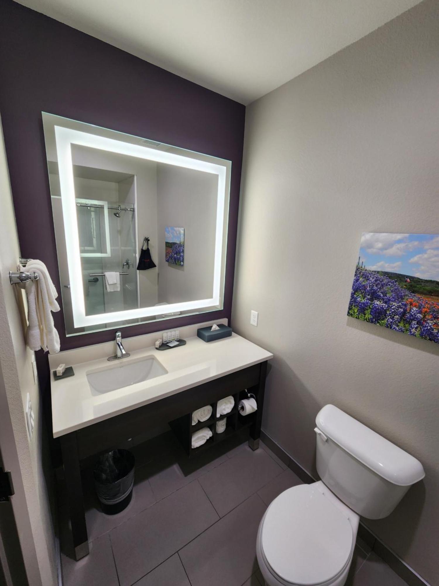 La Quinta By Wyndham Houston Hotel